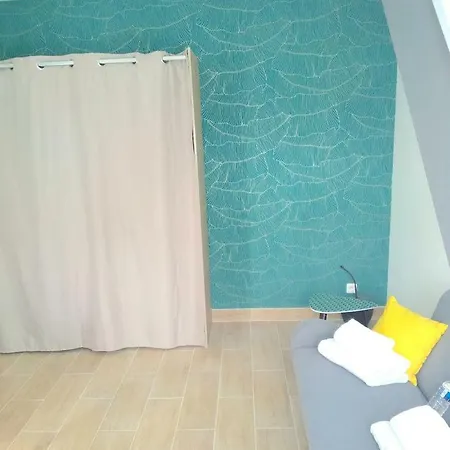Duplex Grand Luxe Vacances Ou Depla Professionnel Appartement