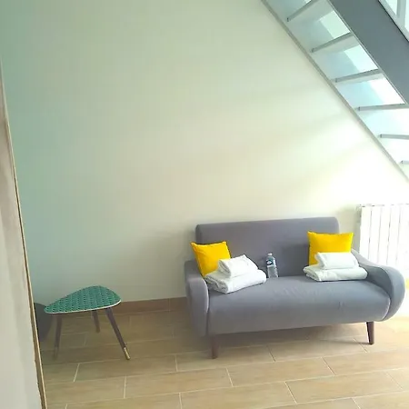 Duplex Grand Luxe Vacances Ou Depla Professionnel Appartement *